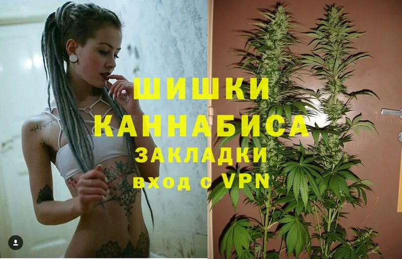 Марихуана White Widow  как найти закладки  Коряжма 